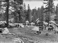 1902DryBuckCreekJosephLReedcamp