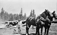 1918-Jim&RalphReedwithLoggingHorses