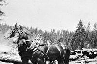 Jim & Ralph Reed with logging team