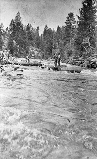 Payette R. Ralph Reed riding the river