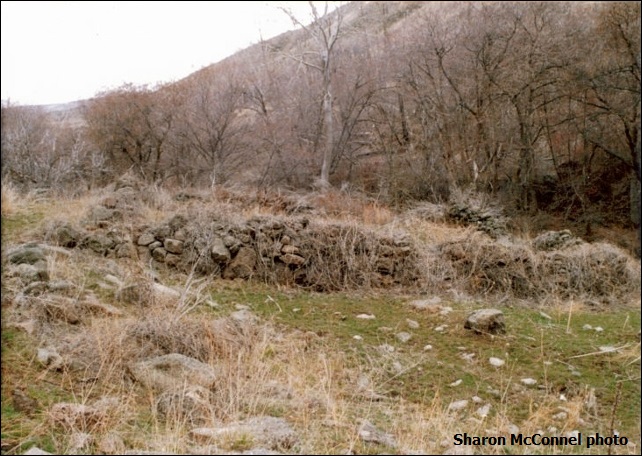 shropshire rock enclosure