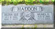 Haddon_h-m.jpg (206835 bytes)