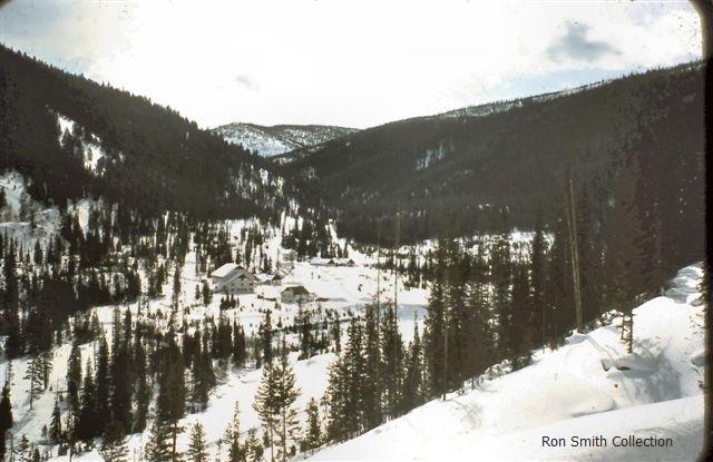 Forest Grove Stibnite