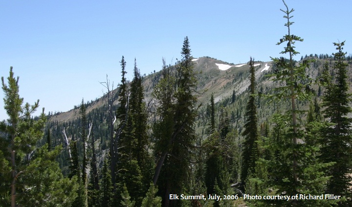 Elk Summit in July